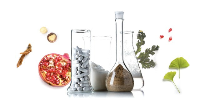 ageLOC Wissenschaft