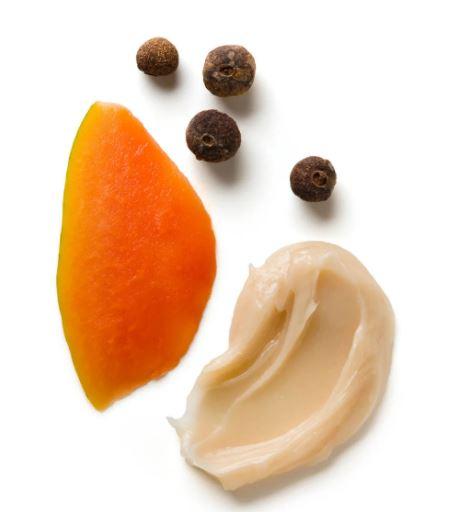 Epoch Sole Solution mit Papaya Extrakt und Nelkenpfeffer für samtweiche Füße